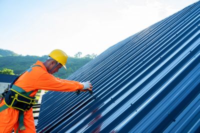 Local Roofing Businesses